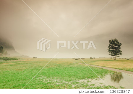 Foggy summer landscape in Norway Foggy summer landscape in Norway 136828847