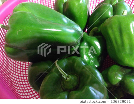 The vegetable green Peppers. 136829051