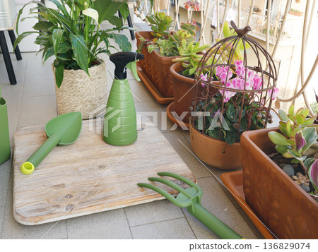 Potted flowers on balcony. Gardening tools. Nature and plant care. Interior design. Potted flowers on balcony. Gardening tools. Nature and plant care. Interior design. 136829074