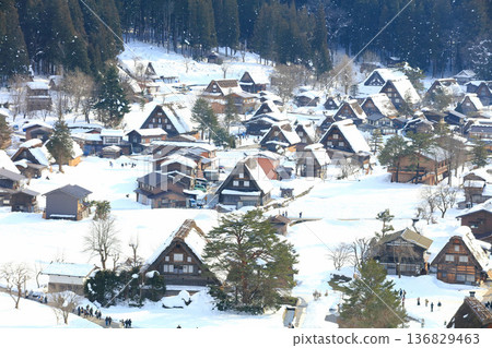 【岐阜縣】從城山展望台看到的白川鄉雪景 136829463