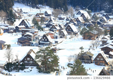 [Gifu Prefecture] Snow-covered Shirakawa-go seen from Shiroyama Observatory 136829466