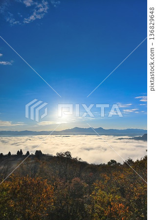 Morning scenery of autumn leaves and a sea of clouds on the Yamamotoyama Plateau (Ojiya City, Niigata Prefecture) 136829648