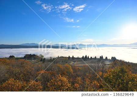 山本山高原（新潟縣小千谷市）的秋葉晨曦與雲海美景 136829649