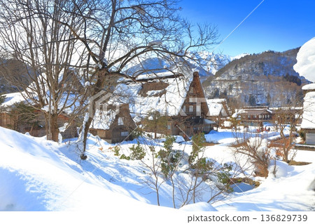 【岐阜縣】晴天下白雪皚皚的白川鄉和白山山脈 136829739