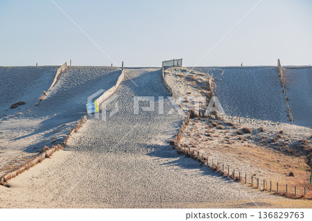 靜岡縣濱松市中田島沙丘的景色 136829763