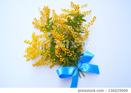 含羞草花束 136829806