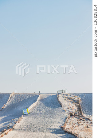 Scenery of Nakatajima Sand Dunes in Hamamatsu City (Shizuoka Prefecture) 136829814