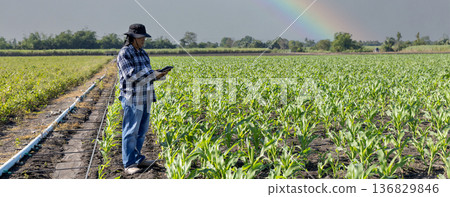 Farmer uses digital tablet for analyse and check corn plants at field. Farmer uses digital tablet for analyse and check corn plants at field. 136829846