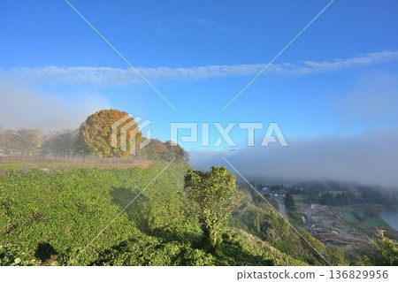 Morning mist and autumn leaves on the Yamamotoyama Plateau (Ojiya City, Niigata Prefecture) Morning mist and autumn leaves on the Yamamotoyama Plateau (Ojiya City, Niigata Prefecture) 136829956
