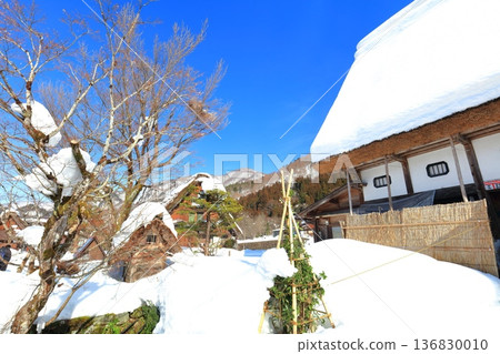 【岐阜縣】晴朗的日子裡,白川鄉妙禪寺的寺廟廚房被白雪覆蓋(妙禪寺地方博物館) 【岐阜縣】晴朗的日子裡,白川鄉妙禪寺的寺廟廚房被白雪覆蓋(妙禪寺地方博物館) 136830010