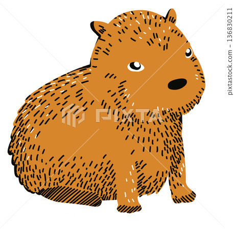 capybara cartoon illustration cute animal art 136830211