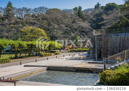 藤枝市（靜岡縣）蓮華寺池公園景色 136830216