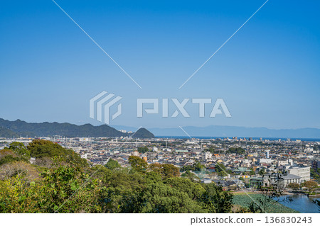 藤枝市（靜岡縣） 136830243