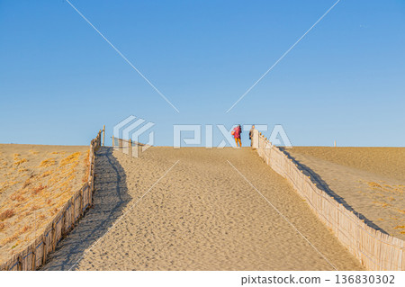 Scenery of Nakatajima Sand Dunes in Hamamatsu City (Shizuoka Prefecture) Scenery of Nakatajima Sand Dunes in Hamamatsu City (Shizuoka Prefecture) 136830302