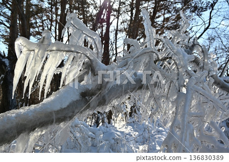 福島豬苗代湖噴冰 136830389