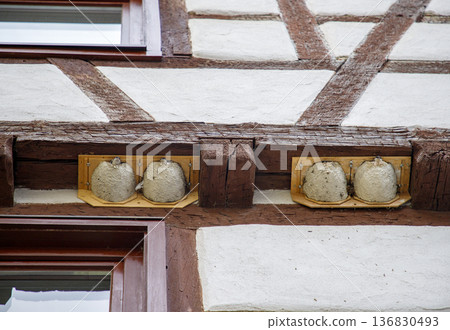 Nests with small swallows  136830493