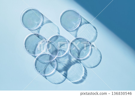 Several petri dishes casting long shadows on light blue background 136830546