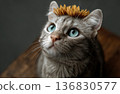 Gray cat with flower crown portrait looking up on dark background 136830577