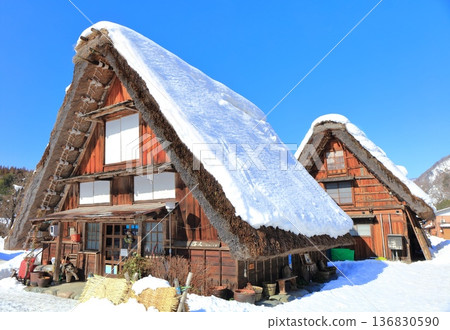 【岐阜縣】晴天白川鄉白雪皚皚 136830590