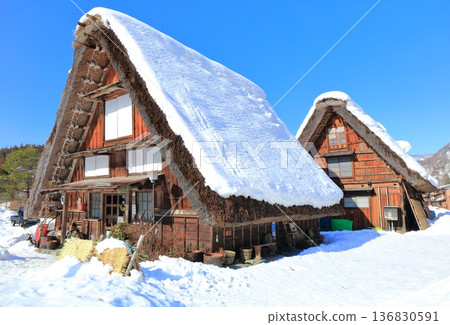 【岐阜縣】晴天白川鄉白雪皚皚 136830591