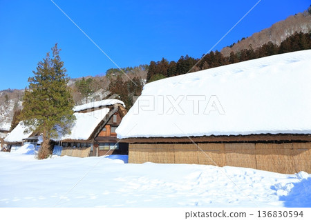 【岐阜縣】晴天白川鄉白雪皚皚 【岐阜縣】晴天白川鄉白雪皚皚 136830594