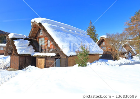 【岐阜縣】晴天白川鄉白雪皚皚 136830599