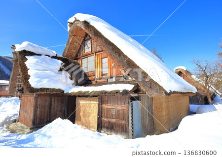 【岐阜縣】晴天白川鄉白雪皚皚 136830600