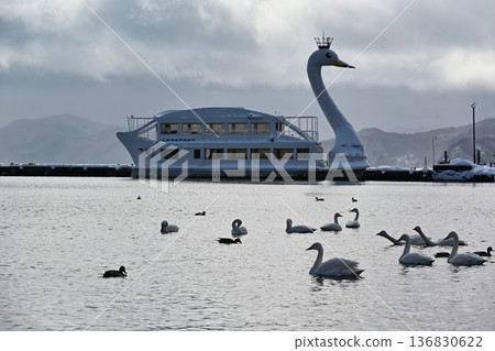 Swans and sightseeing boats on Lake Inawashiro, Fukushima 136830622