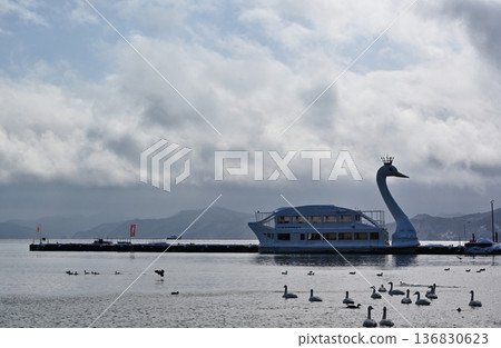Swans and sightseeing boats on Lake Inawashiro, Fukushima Swans and sightseeing boats on Lake Inawashiro, Fukushima 136830623