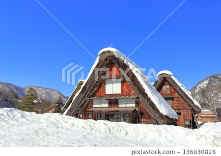 【岐阜縣】晴天白川鄉白雪皚皚 136830828