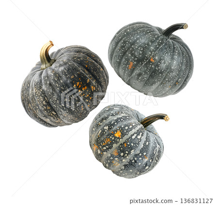 Assorted green and orange pumpkins scattered in a seamless pattern isolated on white background 136831127