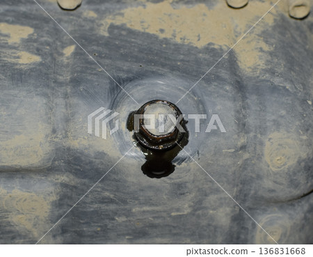 Drain the old oil from the engine through the drain plug 136831668