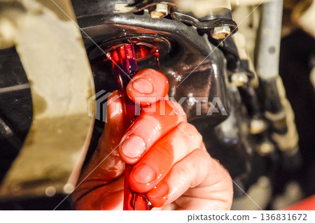 Oil change in automatic transmission. Filling the oil through the hose. Car maintenance station. Red gear oil. The hands of the car mechanic in oil Oil change in automatic transmission. Filling the oil through the hose. Car maintenance station. Red gear oil. The hands of the car mechanic in oil 136831672
