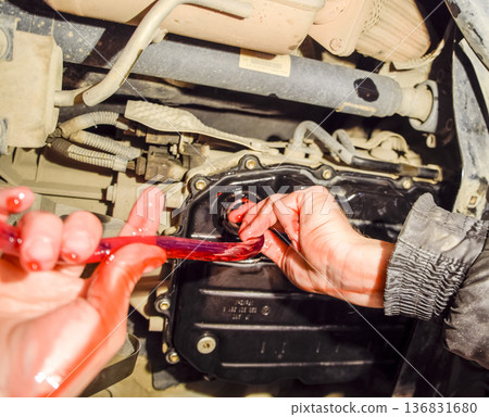 Oil change in automatic transmission. Filling the oil through the hose. Car maintenance station. Red gear oil. The hands of the car mechanic in oil 136831680