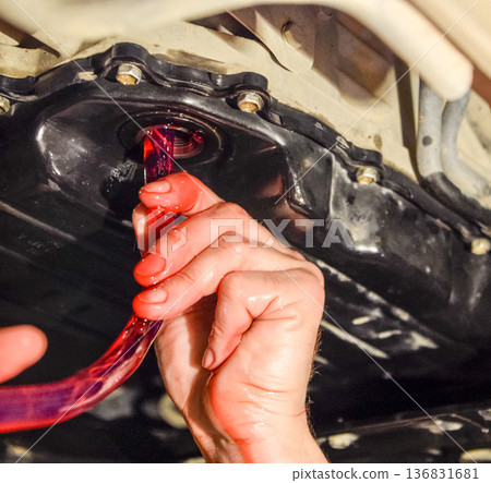 Oil change in automatic transmission. Filling the oil through the hose. Car maintenance station. Red gear oil. The hands of the car mechanic in oil Oil change in automatic transmission. Filling the oil through the hose. Car maintenance station. Red gear oil. The hands of the car mechanic in oil 136831681