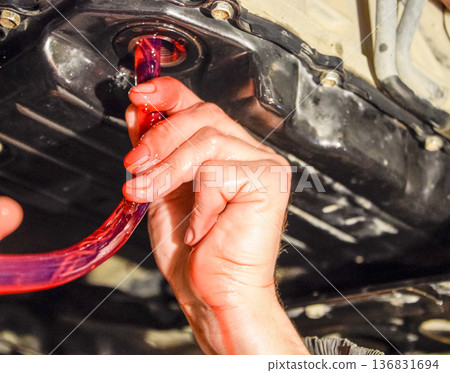 Oil change in automatic transmission. Filling the oil through the hose. Car maintenance station. Red gear oil. The hands of the car mechanic in oil 136831694
