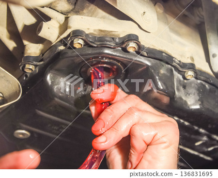 Oil change in automatic transmission. Filling the oil through the hose. Car maintenance station. Red gear oil. The hands of the car mechanic in oil 136831695