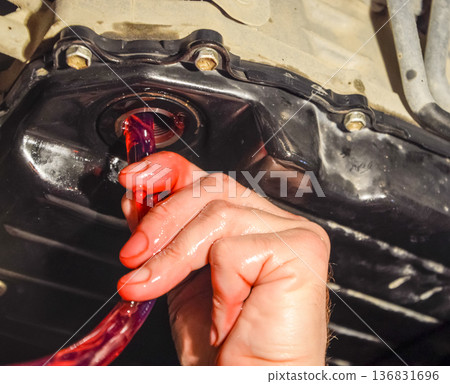 Oil change in automatic transmission. Filling the oil through the hose. Car maintenance station. Red gear oil. The hands of the car mechanic in oil 136831696