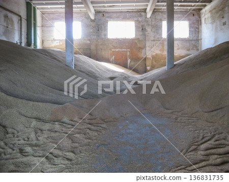Heap of grains of barley and wheat in stock Heap of grains of barley and wheat in stock 136831735
