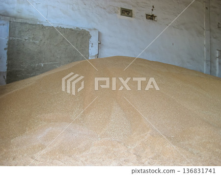 Heap of grains of barley and wheat in stock 136831741