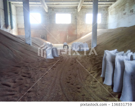 Heap of grains of barley and wheat in stock Heap of grains of barley and wheat in stock 136831759