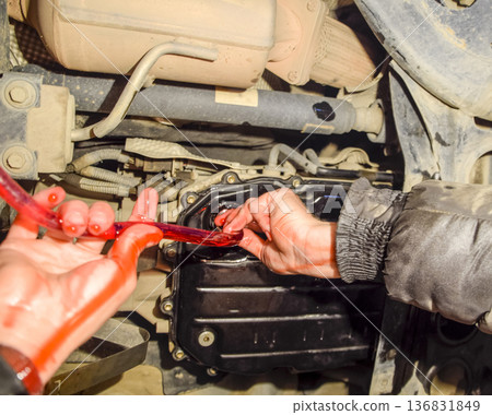 Oil change in automatic transmission. Filling the oil through the hose. Car maintenance station. Red gear oil. The hands of the car mechanic in oil Oil change in automatic transmission. Filling the oil through the hose. Car maintenance station. Red gear oil. The hands of the car mechanic in oil 136831849