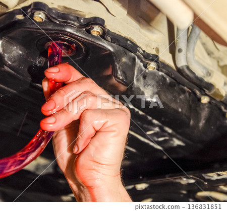 Oil change in automatic transmission. Filling the oil through the hose. Car maintenance station. Red gear oil. The hands of the car mechanic in oil Oil change in automatic transmission. Filling the oil through the hose. Car maintenance station. Red gear oil. The hands of the car mechanic in oil 136831851