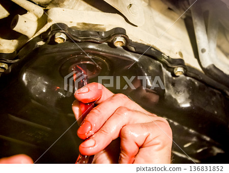 Oil change in automatic transmission. Filling the oil through the hose. Car maintenance station. Red gear oil. The hands of the car mechanic in oil Oil change in automatic transmission. Filling the oil through the hose. Car maintenance station. Red gear oil. The hands of the car mechanic in oil 136831852