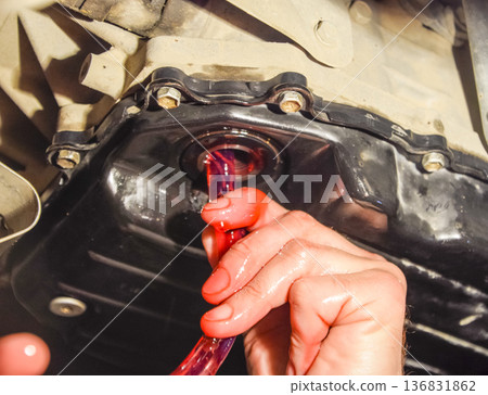 Oil change in automatic transmission. Filling the oil through the hose. Car maintenance station. Red gear oil. The hands of the car mechanic in oil 136831862