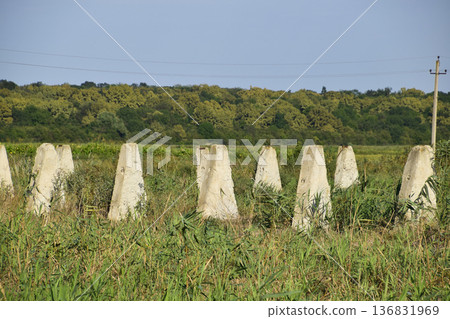 The ruins of the old farm. Cones column base of the wall. Abandoned and ruined buildings 136831969