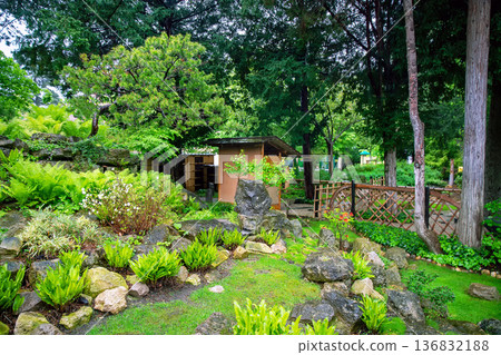 Japanese garden in Vienna (inside Botanical garden) Japanese garden in Vienna (inside Botanical garden) 136832188