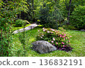 Idyllic view  on pink rhododendron  (azalea) blossoms and footpath  and birch trees (white trunk) and pond in Japanese garden in Tallinn  in Kadriorg park  - awe garden free of 136832191