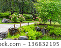 Awe Lake  and rhododendron blossoms in Japanese garden in late June in northern Europe   (Estonian capital, Tallinn) 136832195