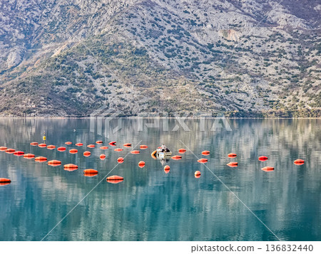 Oyster Farm in Calm Coastal Waters Oyster Farm in Calm Coastal Waters 136832440